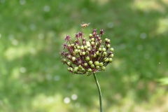 P1500310
