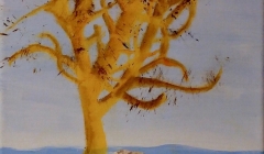 Robin Murat