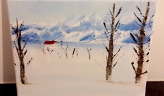 Robin Murat