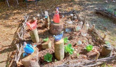 Exposition de Chabrillan - 21/09/2021